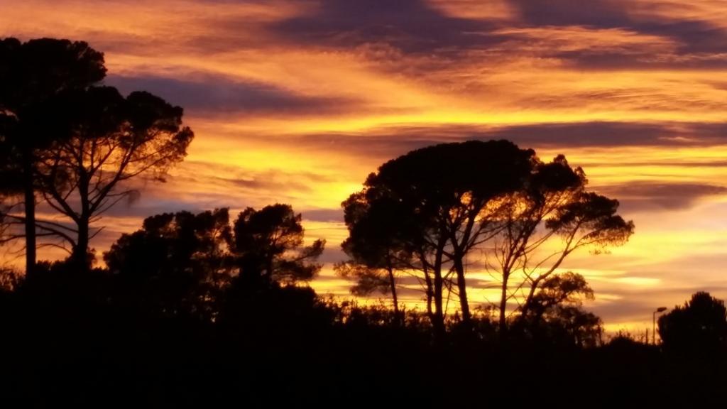 Un Petit Coin De Paradis Taradeau Bagian luar foto